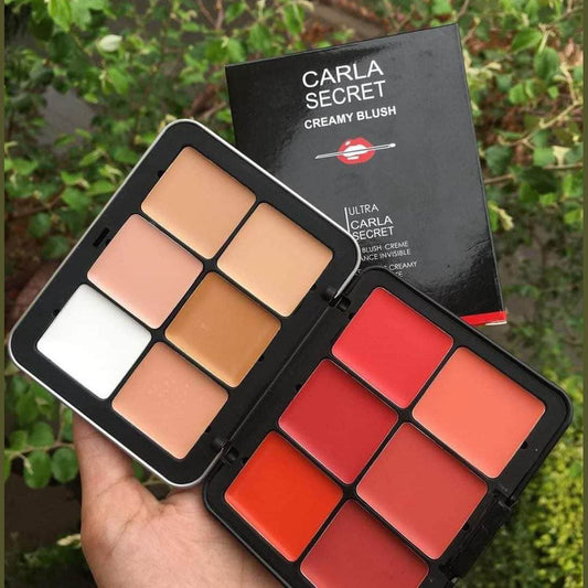Carla Secret Concealer & Blush Professional Makeup